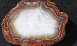 Moroccan Agate Rock Slab 365