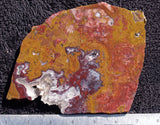Curiosity Shop Rock Slab 442