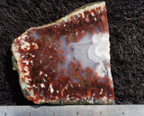 Curiosity Shop Rock Slab 466