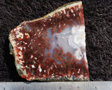 Curiosity Shop Rock Slab 466