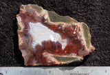 Bargain Bin E Slab 252
