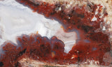 Bargain Bin E Slab 252
