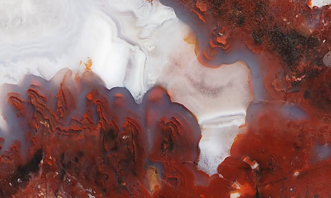 Bargain Bin E Slab 252
