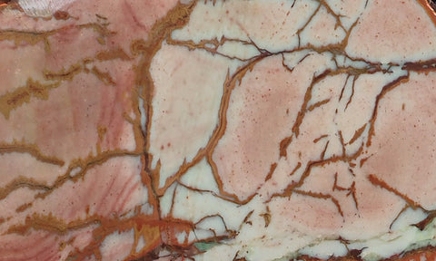 Dead Camel Jasper Slab 81