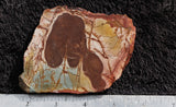 Dead Camel Jasper Slab 83