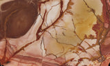 Dead Camel Jasper Slab 83