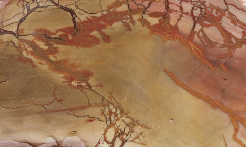 Dead Camel Jasper Slab 86