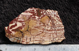 Dead Camel Jasper Slab 85