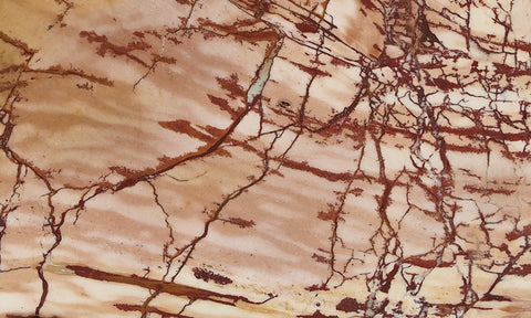 Dead Camel Jasper Slab 85