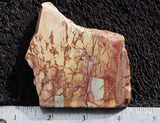 Dead Camel Jasper Rock Slab 59
