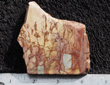 Dead Camel Jasper Rock Slab 59