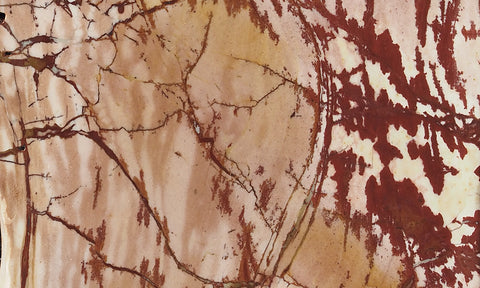 Dead Camel Jasper Slab 82