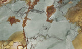 Dead Camel Jasper Rock Slab 58