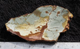 Dead Camel Jasper Rock Slab 58