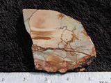 Dead Camel Jasper Slab 99
