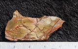Dead Camel Jasper Slab 87