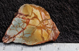 Dead Camel Jasper Slab 93