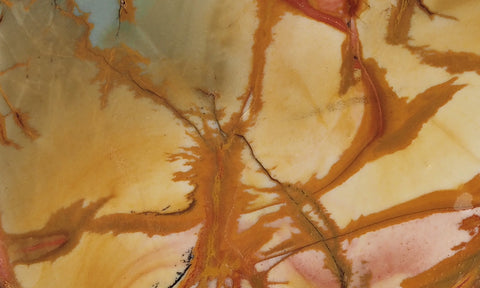 Dead Camel Jasper Slab 93