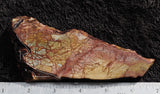 Dead Camel Jasper Slab 80