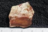 Dead Camel Jasper Slab 94
