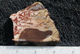 Dead Camel Jasper Slab 96