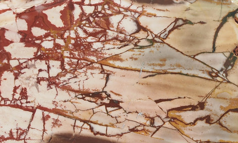 Dead Camel Jasper Slab 96