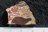 Dead Camel Jasper Slab 96