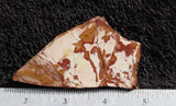 Dead Camel Jasper Slab 84
