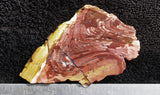 Curiosity Shop Rock Slab 419