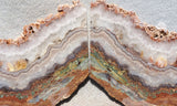 Prudent Man Agate Slab 91