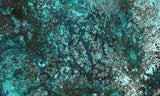 Shattuckite Rock Slab 152