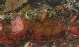 Jasperella Rock Slab 91