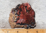 Jasperella Rock Slab 87