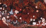 Jasperella Rock Slab 88