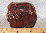 Jasperella Rock Slab 80