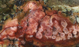 Jasperella Rock Slab 95