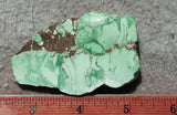 Broken Arrow Variscite Slab 48