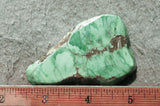 Broken Arrow Variscite Slab 37