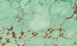 Broken Arrow Variscite Slab 49
