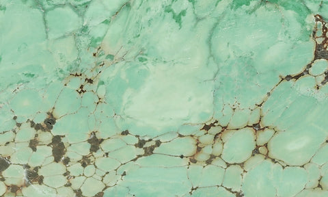 Broken Arrow Variscite Slab 49