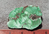 Broken Arrow Variscite Slab 46