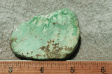 Broken Arrow Variscite Slab 39