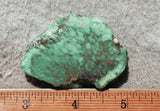 Broken Arrow Variscite Slab 53