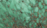 Broken Arrow Variscite Slab 53