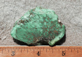 Broken Arrow Variscite Slab 53