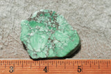 Broken Arrow Variscite Slab 31