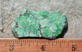 Broken Arrow Variscite Slab 62