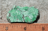 Broken Arrow Variscite Slab 62