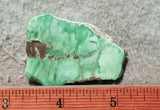 Broken Arrow Variscite Slab 51