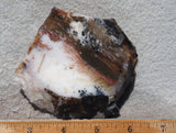 Idaho Dendritic Agate 99